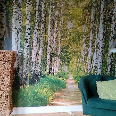Rent A At Hidden Hearts * Roscrea